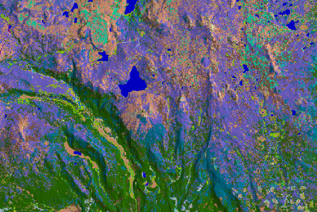 Fuel vegetation maps